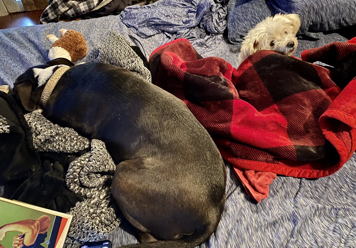 ChefKevinBelton's tweet photo. These girls be so bundled with mommy๐ถโค๏ธ๐พ #halloweennight #Nola #socold #crazycoldfront https://t.co/CzivGimR2x