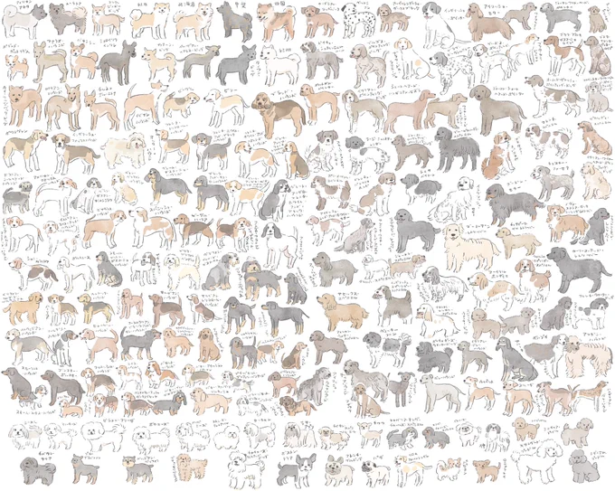 #犬の日 いぬ、全部描いてみました。 (図鑑に掲載のイヌ)   いない犬種がいたら教えてください…