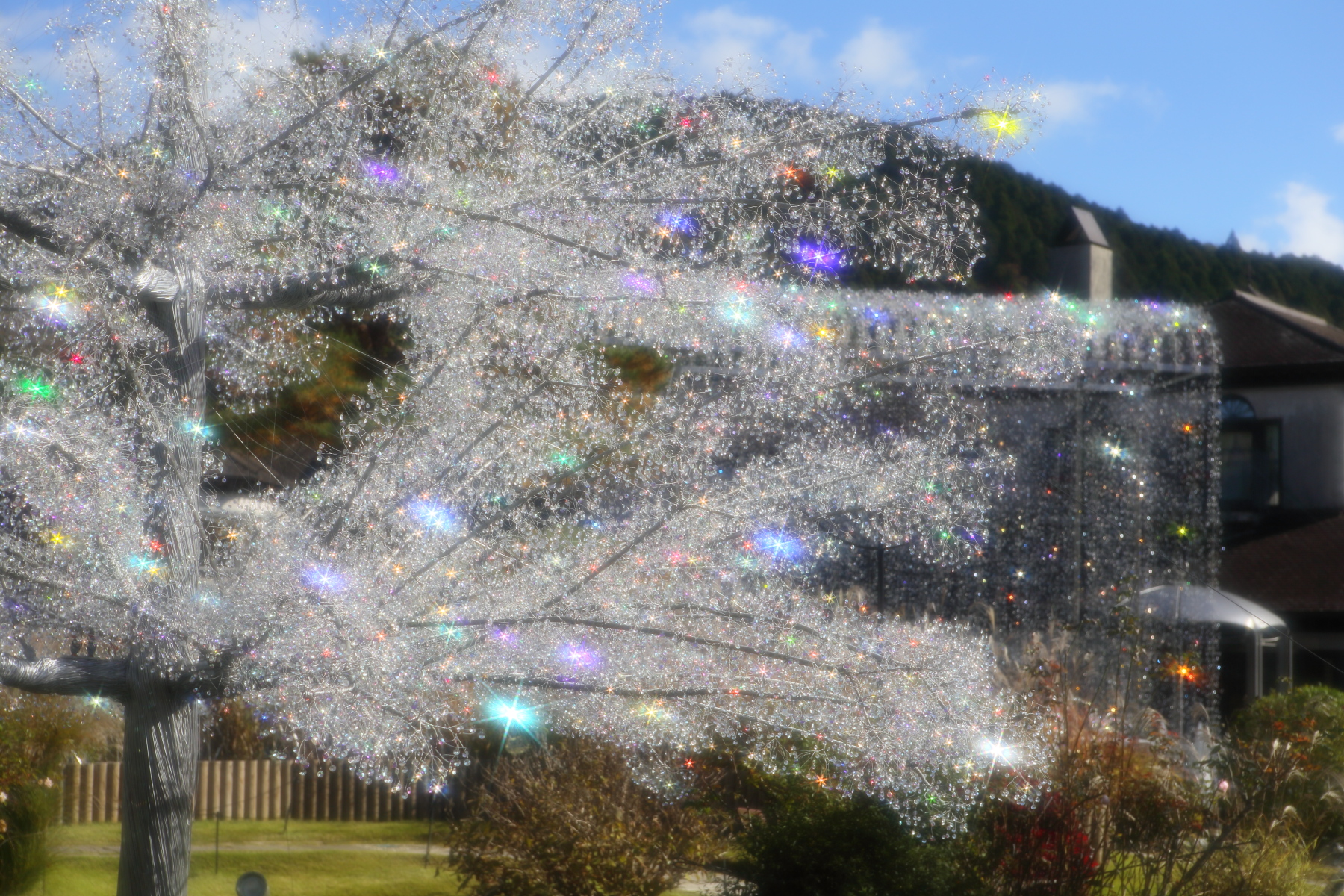 箱根ガラスの森美術館　ガラス　クリスマスツリー金と赤 予告】クリスタル・ガラスのクリスマスツリー | 箱根ガラスの森