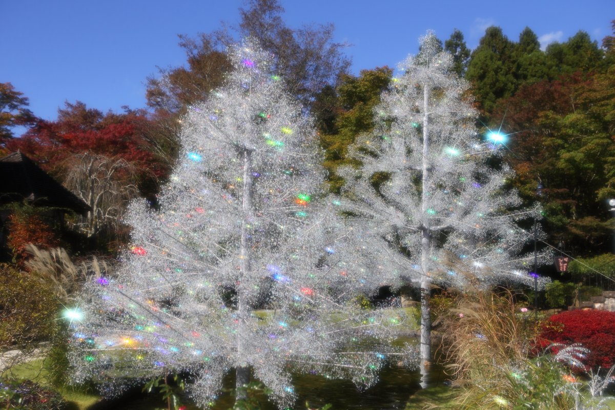 クリスタル葡萄ツリー