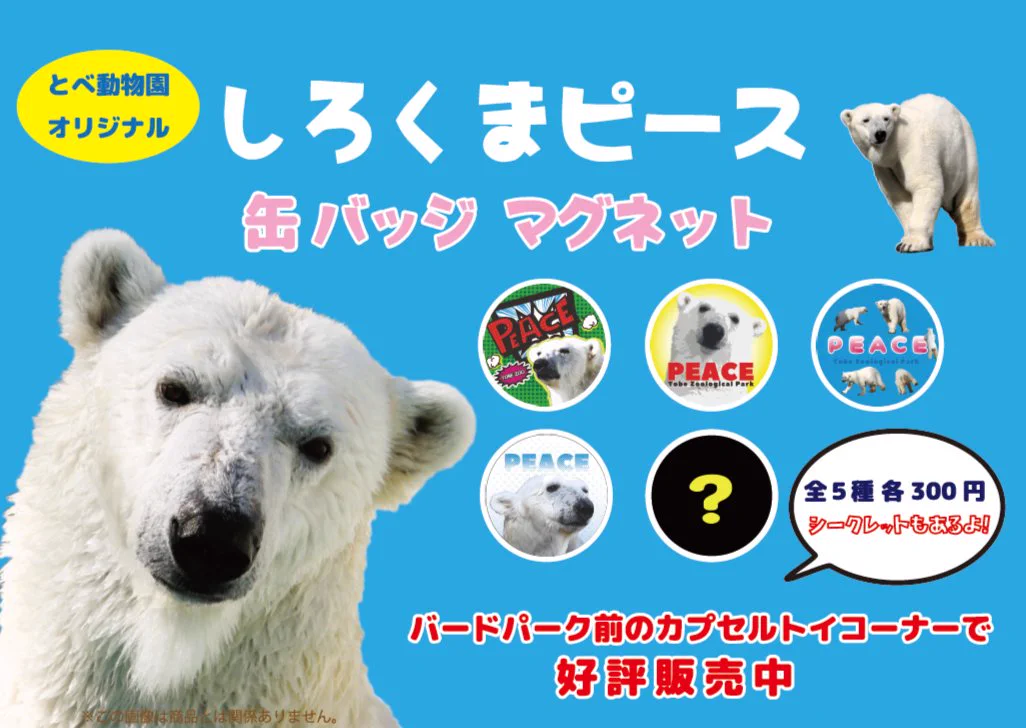 愛媛県立とべ動物園 しろくまピース グッズ 12点セット 愛媛県立とべ動物園【公式】 on X: 