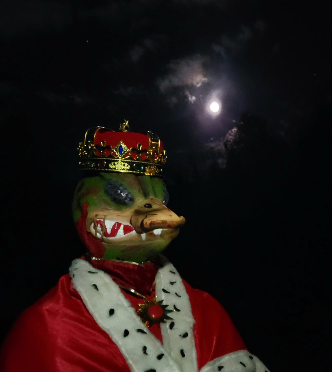 Darkwing tweet media