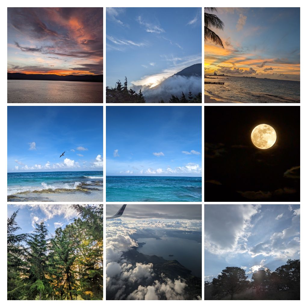 Oscar Rodriguez tweet media