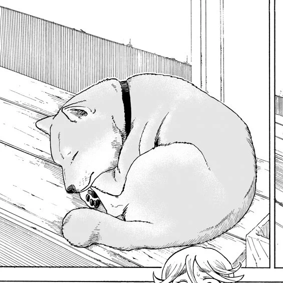 #犬の日  うちのコムギちゃんもよろしくおねがいします