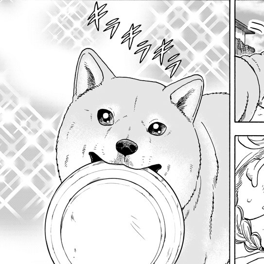 #犬の日  うちのコムギちゃんもよろしくおねがいします