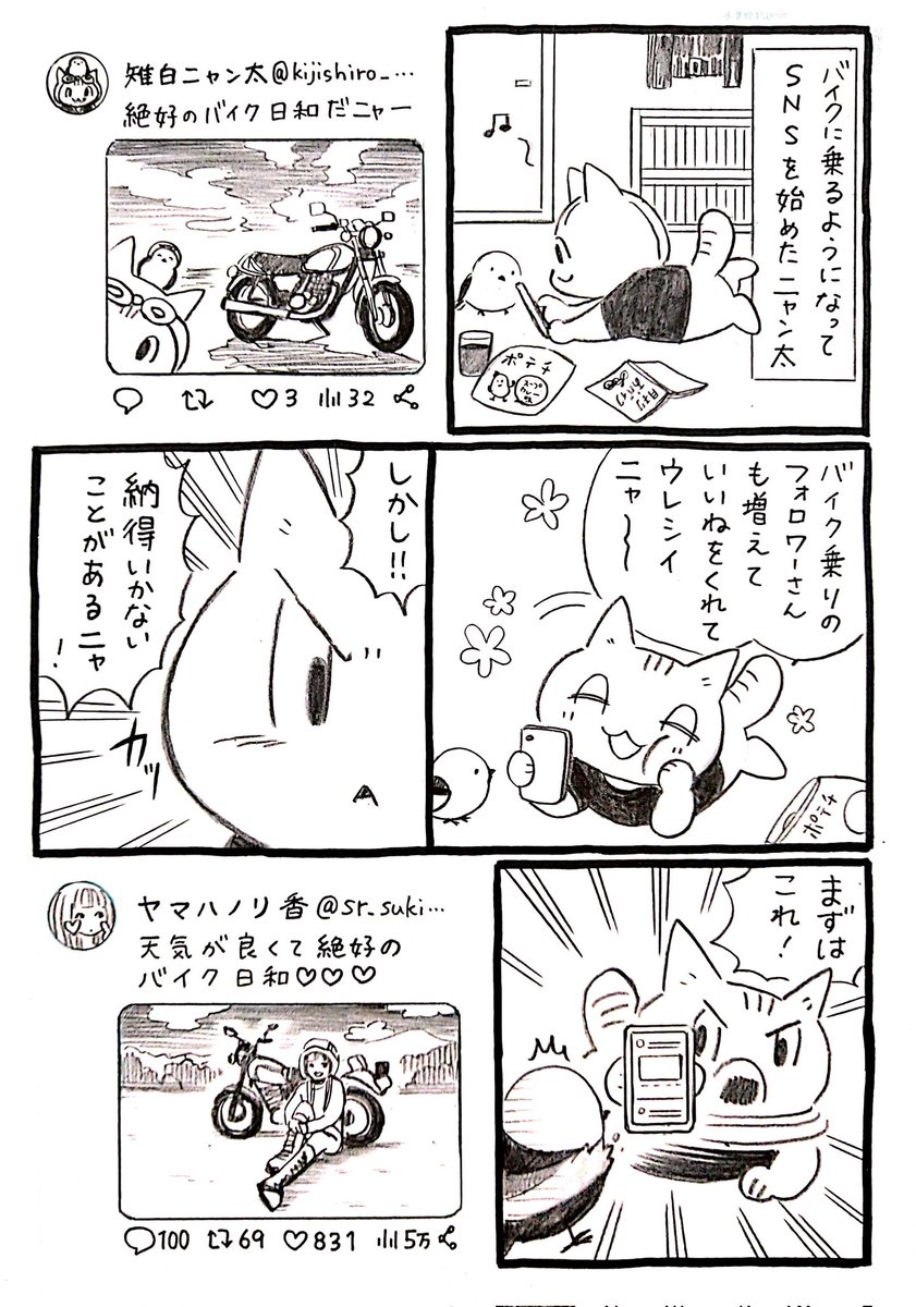ネコがバイクに出会う漫画「ネコ☆ライダー」第13話 バイカー編 SNSは難しい🏍️🐈️(1/2) #漫画が読めるハッシュタグ