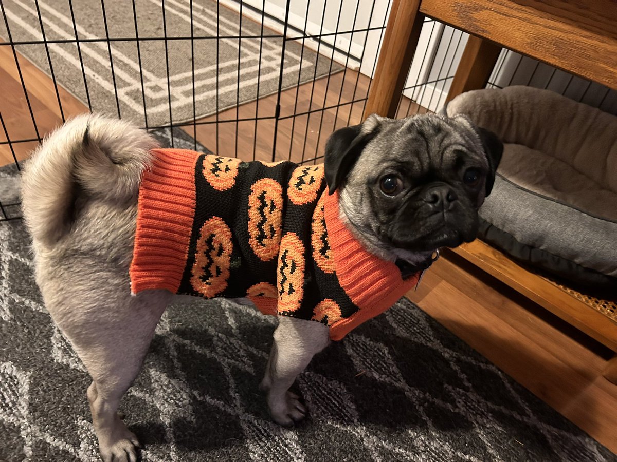 Ash Vickers tweet media