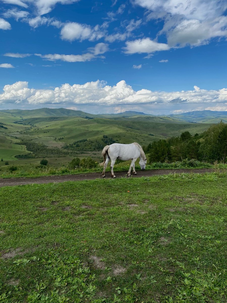 Mythical Siberia (@mythosiberia) on Twitter photo 