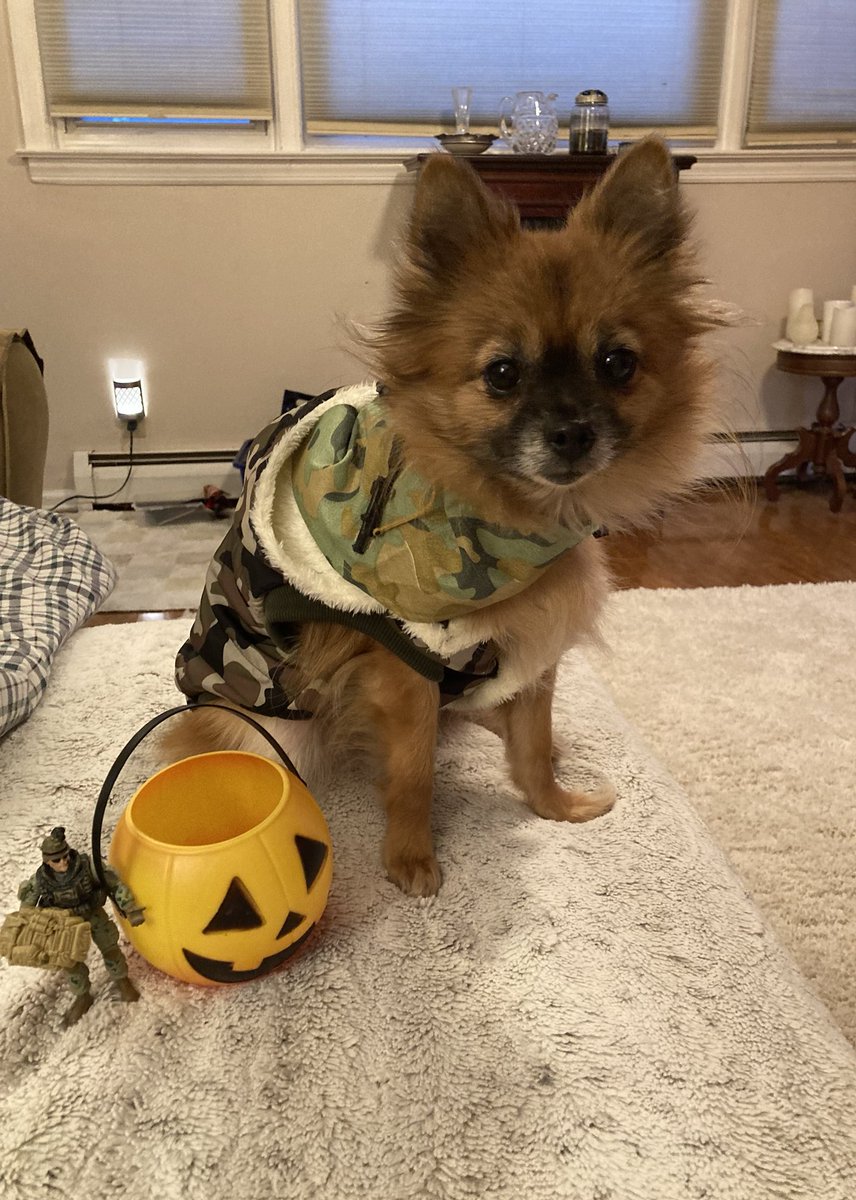 FAST 🌟 ENTREPRENEUR ❤️ tweet media