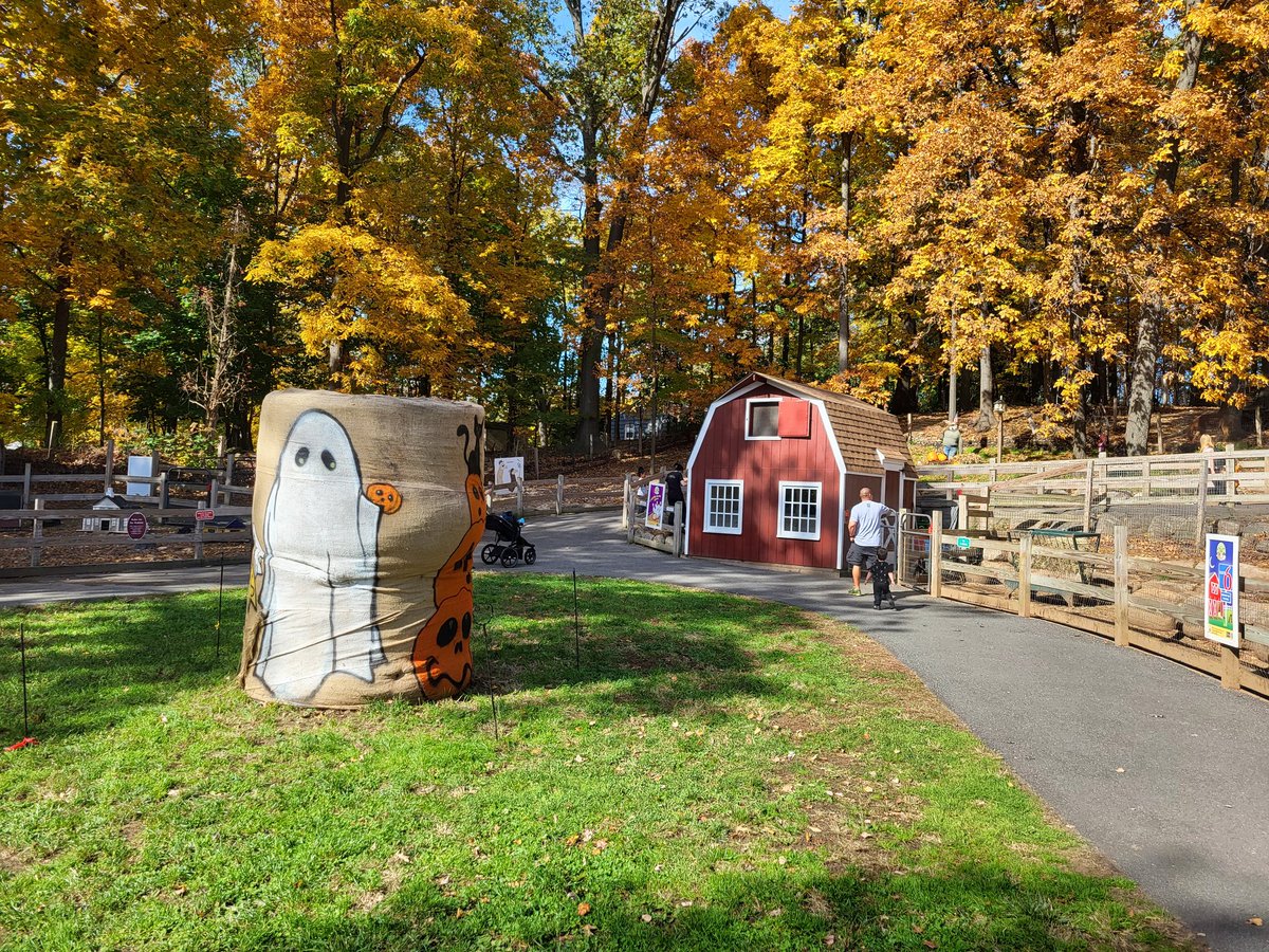 TrueOscarm1258's tweet photo. Recently, went at abma's farm in NJ and see the pumpkin field!!
#abmasfarm #abmas #newjersey #Halloween https://t.co/W6IbY8WWlc