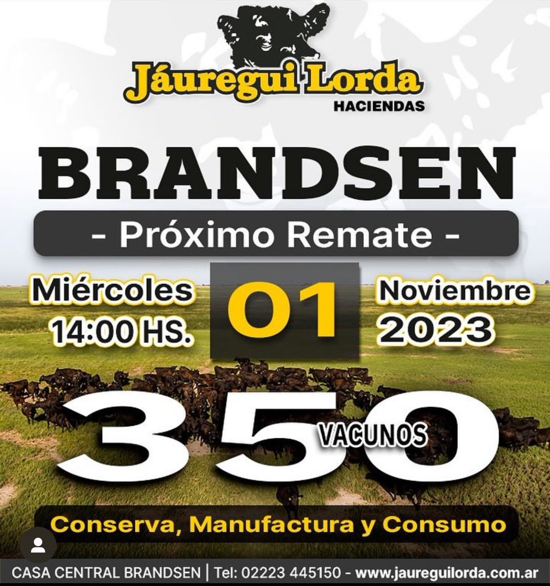 Jáuregui Lorda tweet media