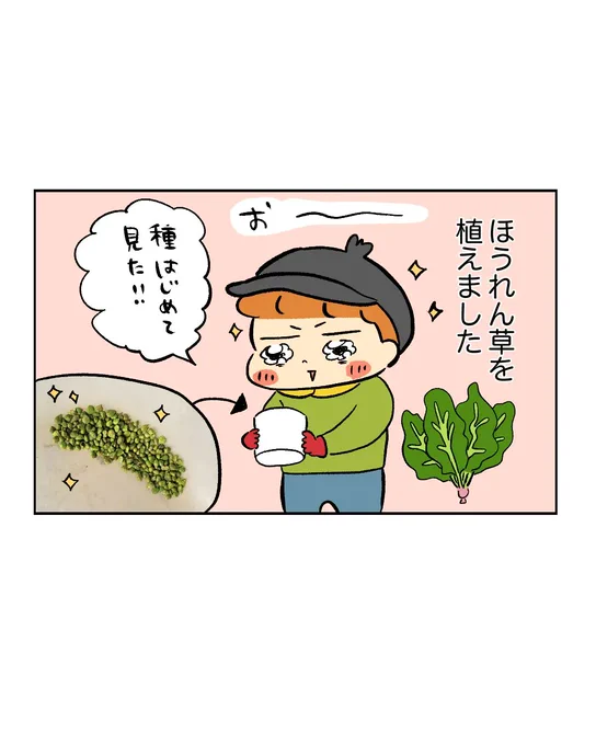 農家初心者の野菜暮らし🌱