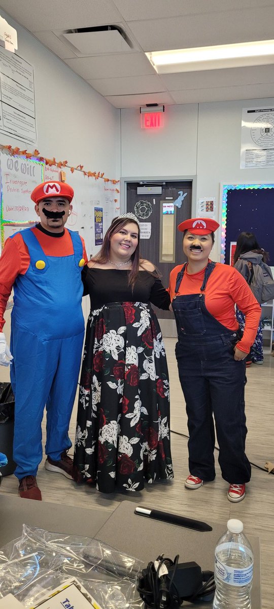 SManley_SHS's tweet photo. Happy Halloween from Mario, Mario and the rescued princess! https://t.co/7ZX792T0aw