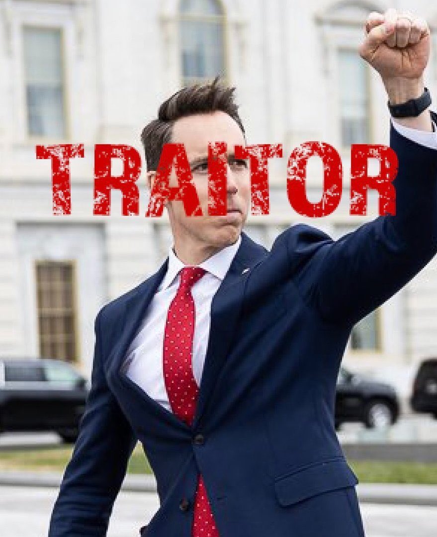 Mamamia1151's tweet photo. @Acyn I agree.
#RemoveJoshHawley https://t.co/XUFSZhROvn