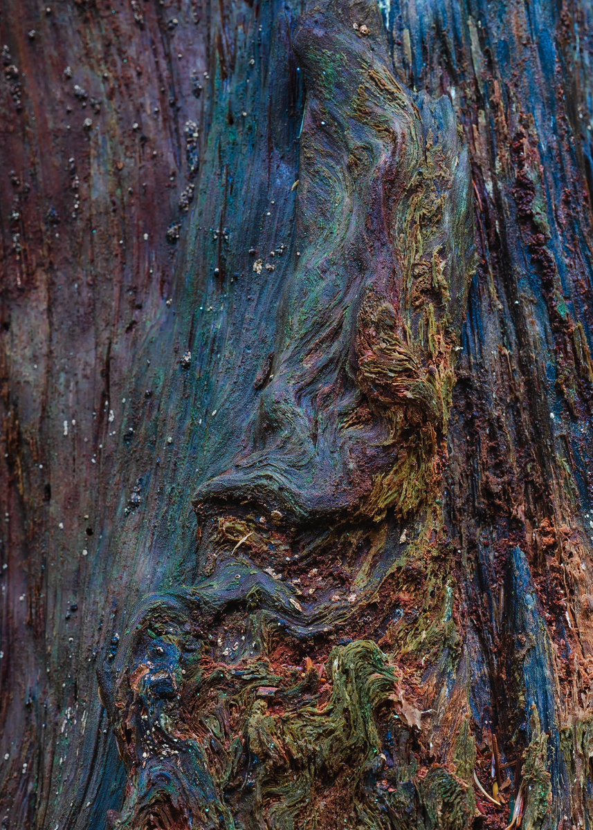 Jack Krohn tweet media