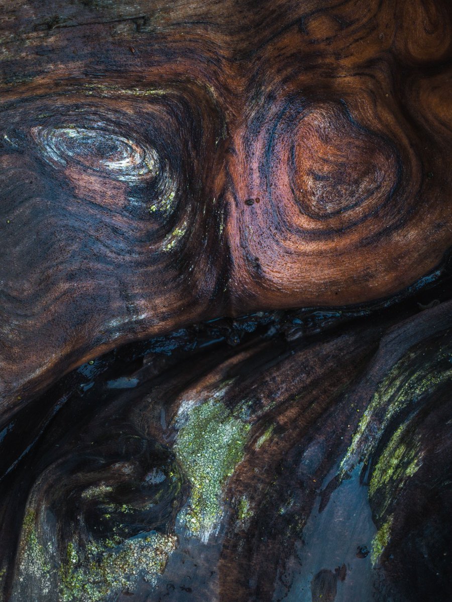 Jack Krohn tweet media