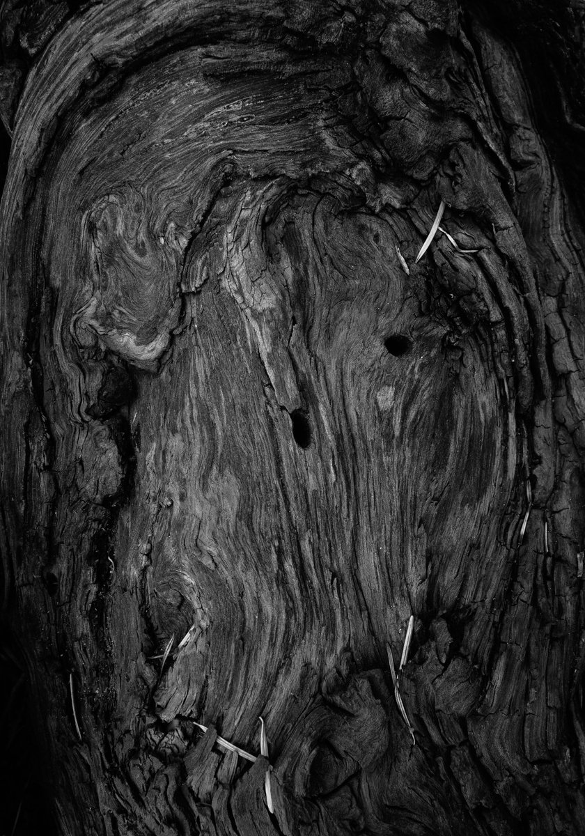 Jack Krohn tweet media