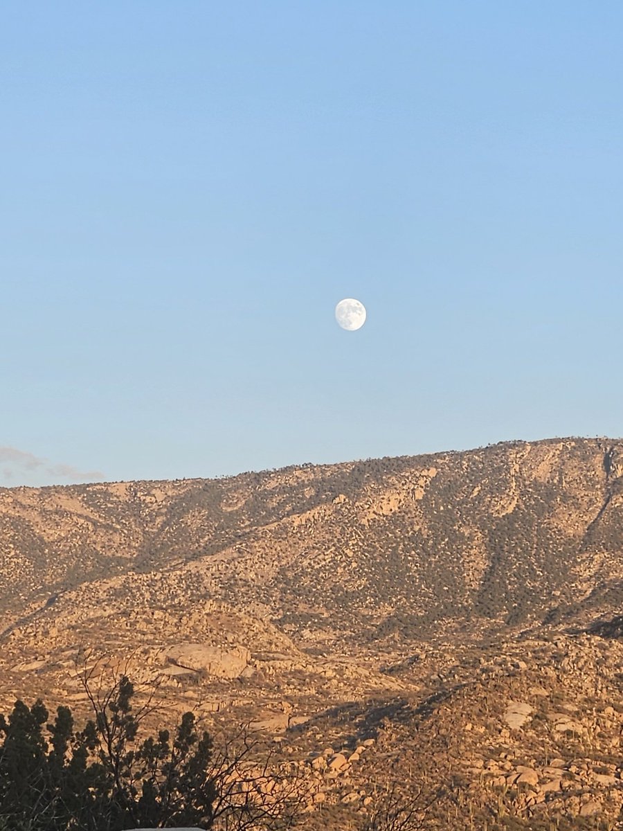 What a lovely Sonoran Desert retreat 🌵☀️thank you, Sir - let's go again!