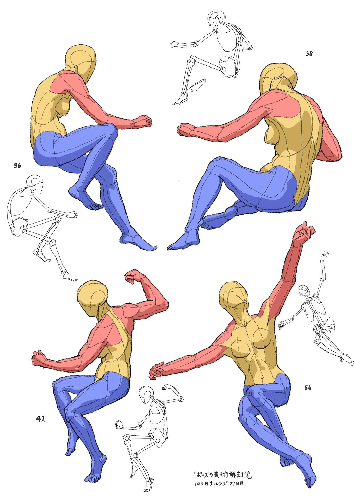 ポーズの美術解剖学