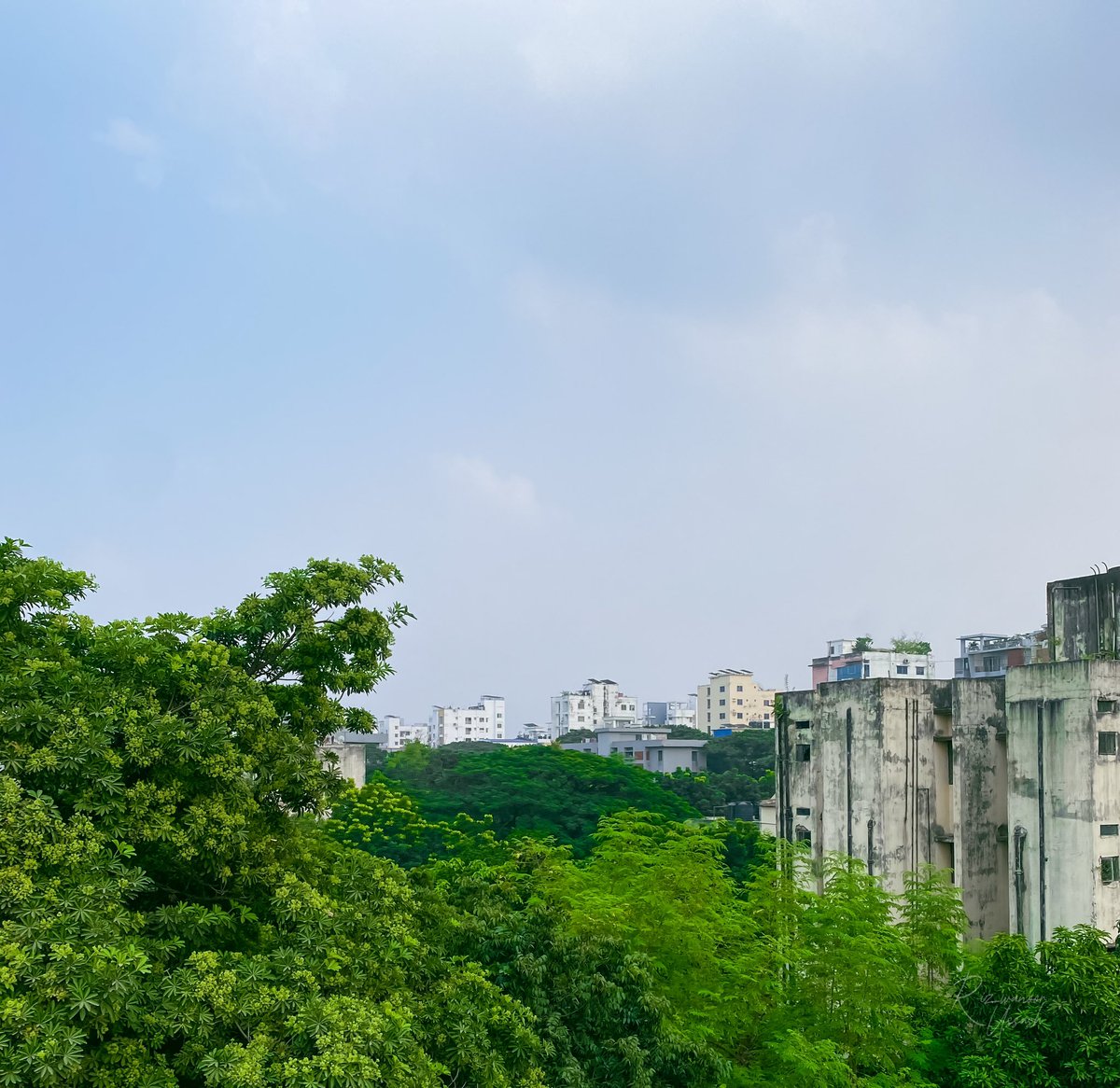 ঢাকা শহরে একটু অক্সিজেনের বাগান 💚
#planttrees