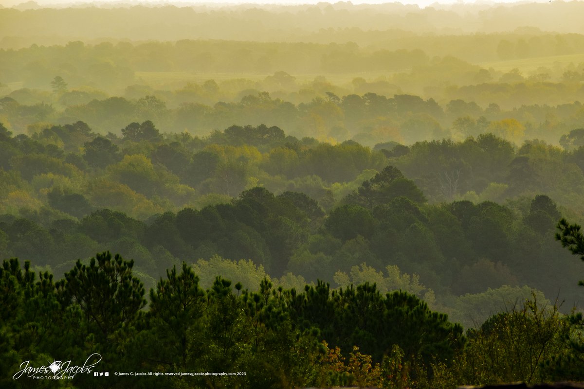 JmsGJacobsPhoto's tweet photo. This shot was taken yesterday morning at Love's Lookout Mountain in Jacksonville, Texas. This was a little after sunrise as I was looking out across the valley with lots of morning fog as a cold front was starting to push through. https://t.co/I9YOYmsjQv