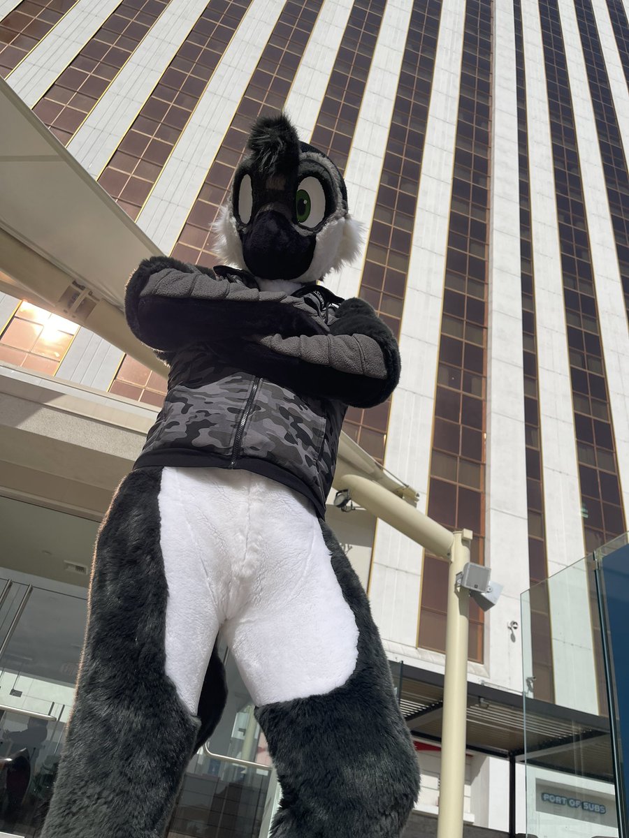 BLFC going pretty well ❤️ :>