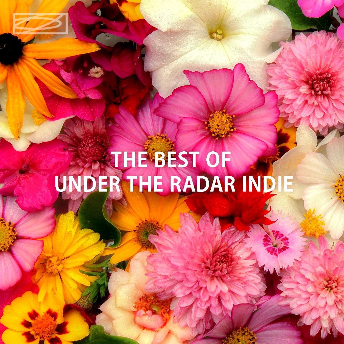 Pluto #playlist tweet media