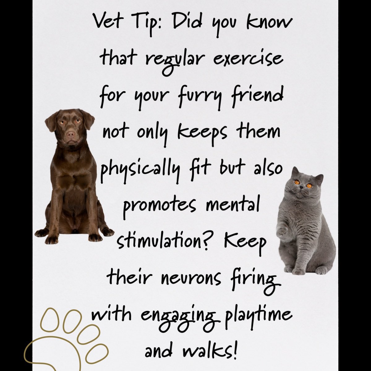 Posh_Pals's tweet photo. Vet Tip: Did you know that regular exercise for your furry friend not only keeps them physically fit but also promotes mental stimulation ? Keep their neurons firing with engaging playtime &amp; walks! #HappyPetsHappyLives #petlovers #petproducts #pets_perfection #australia #poshpals https://t.co/QcJTfZlsv6