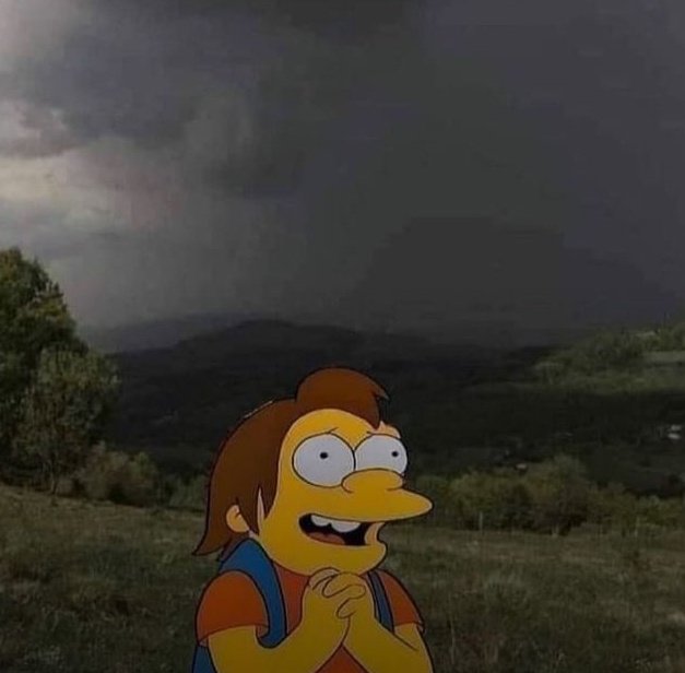 no puedo amar tanto la lluvia el frío los días grises soy este