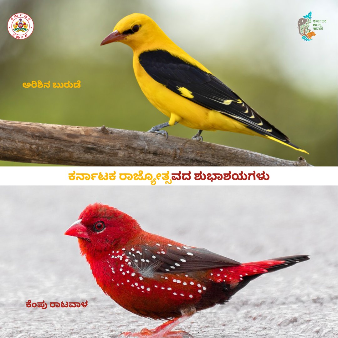 ಎಲ್ಲರಿಗೂ ಕರ್ನಾಟಕ ರಾಜ್ಯೋತ್ಸವದ ಶುಭಾಶಯಗಳು!!