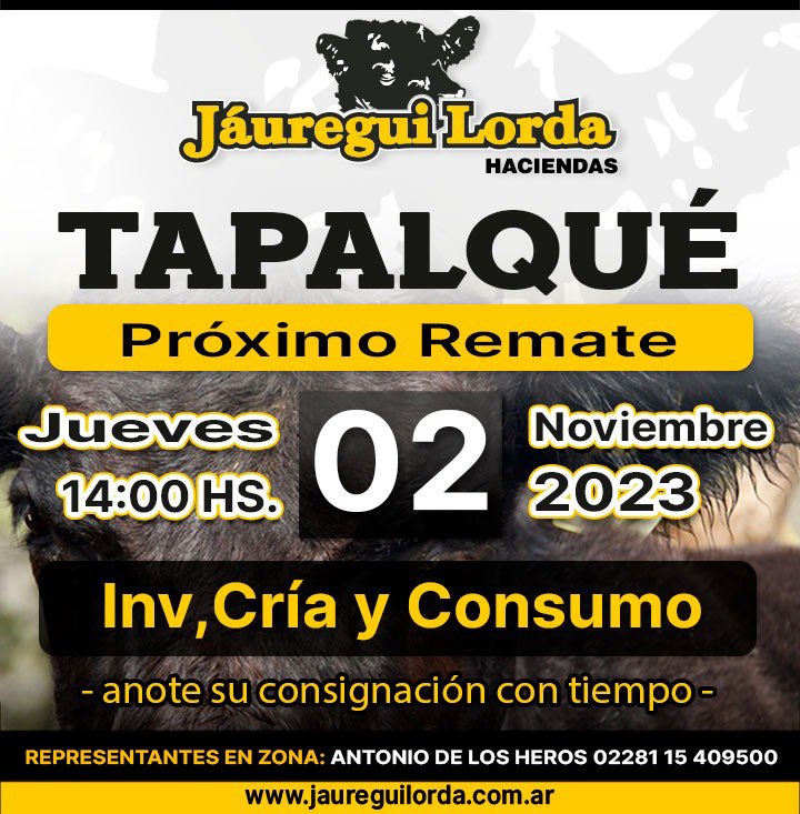 Jáuregui Lorda tweet media