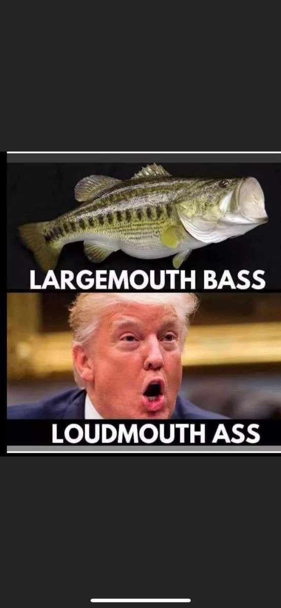 Guess which one can’t keep his big mouth shut 🤐💭?👇🏼👇🏼👇🏼