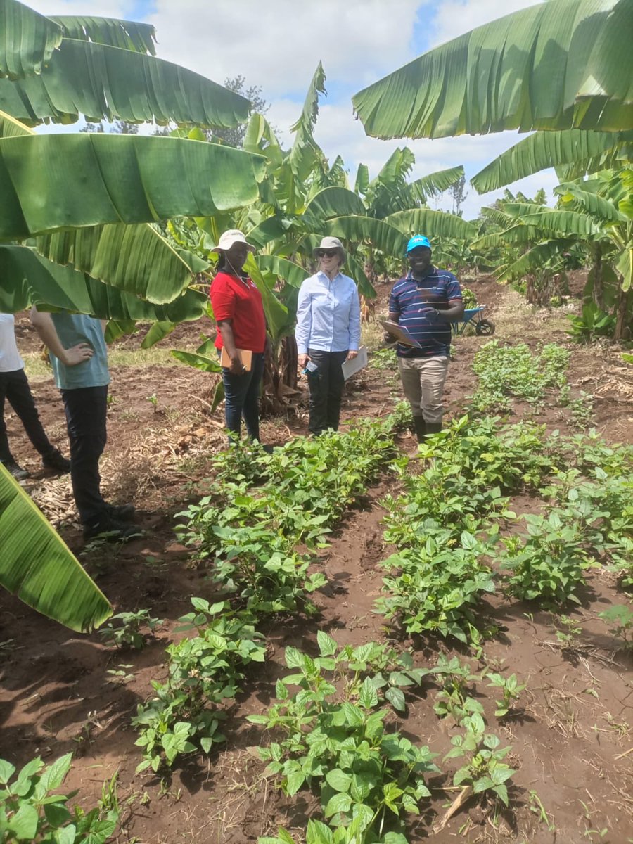 It's been my greatest honor hosting <a href="/Beverley_CUBG/">Beverley Glover</a> from @plantsci for the last one week. Privileged to have shared the preliminary results from the Polyculture pollination experiments currently ongoing in Kenyan Dry lands. Thank you Prof for honoring us with your kind visit.
