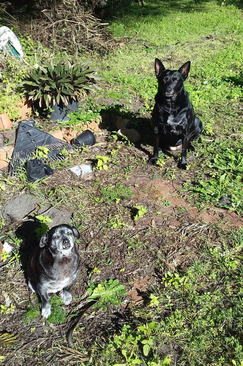 Maria Matthes tweet media