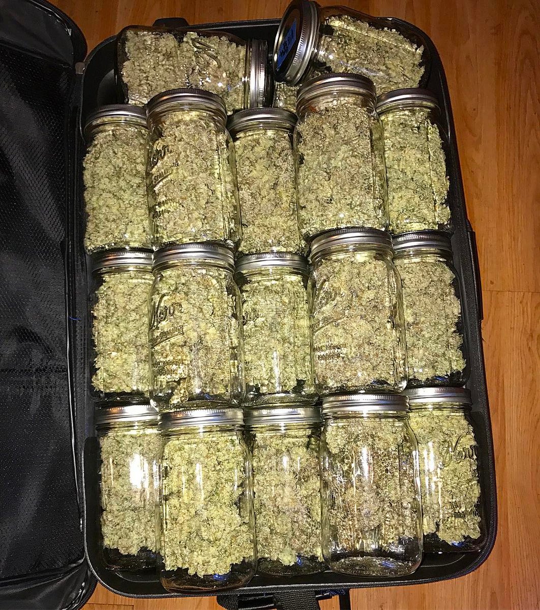 Redwoodrootsfam's tweet photo. When my girl says "we goin on vacation for a couple days." #masonjargang #packedwithpacks #letmejustgrabmysmokingbag #whoneedsanythingelse? #icantsmokeclothes #gethighstayhigh https://t.co/tM8lw5to9h