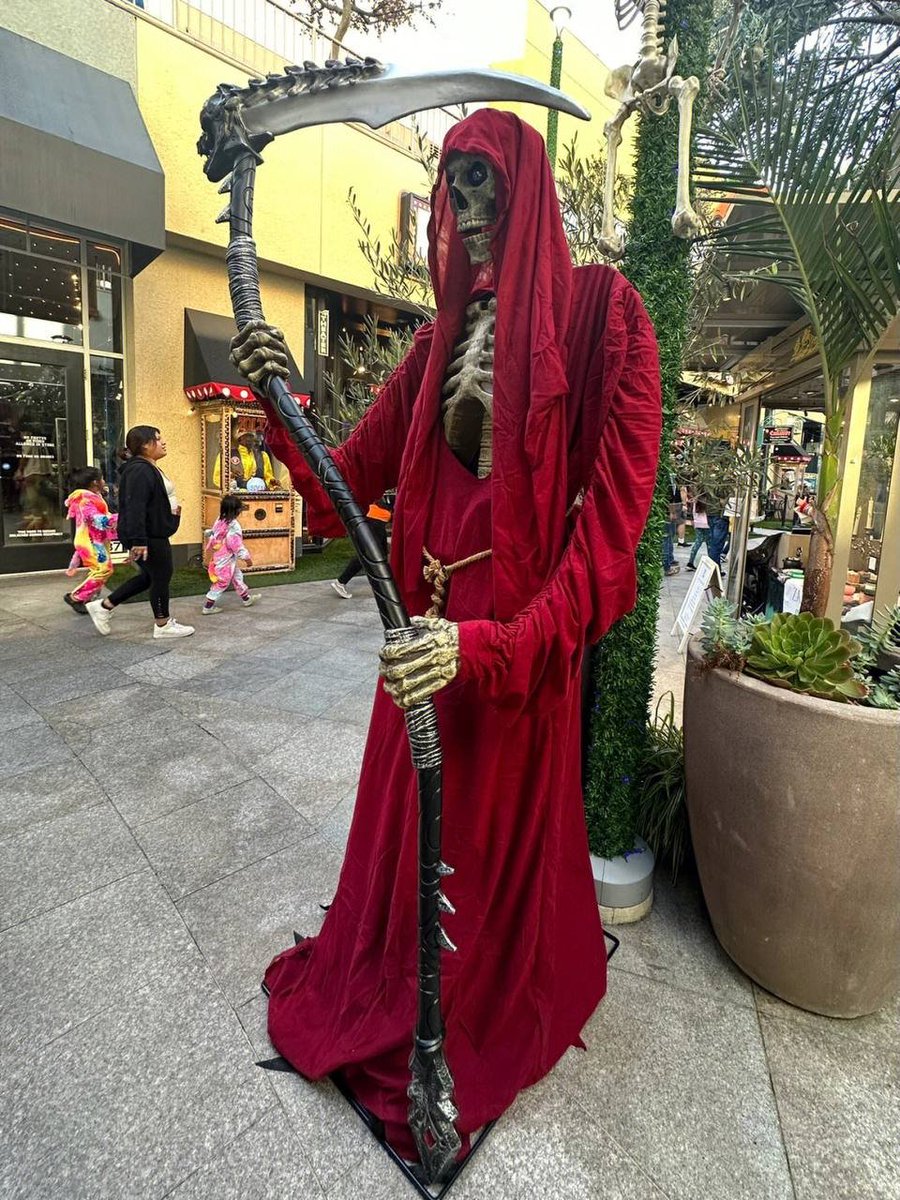 👀The gentle and good weather is always as exciting as you

😃Let's meet while the weather is fine and the sun is shining

🎃What I like most is the afternoon sunshine. The golden sunshine shines warmly on my body, and my mood suddenly clears up.

🤡Wish us a happy Halloween!