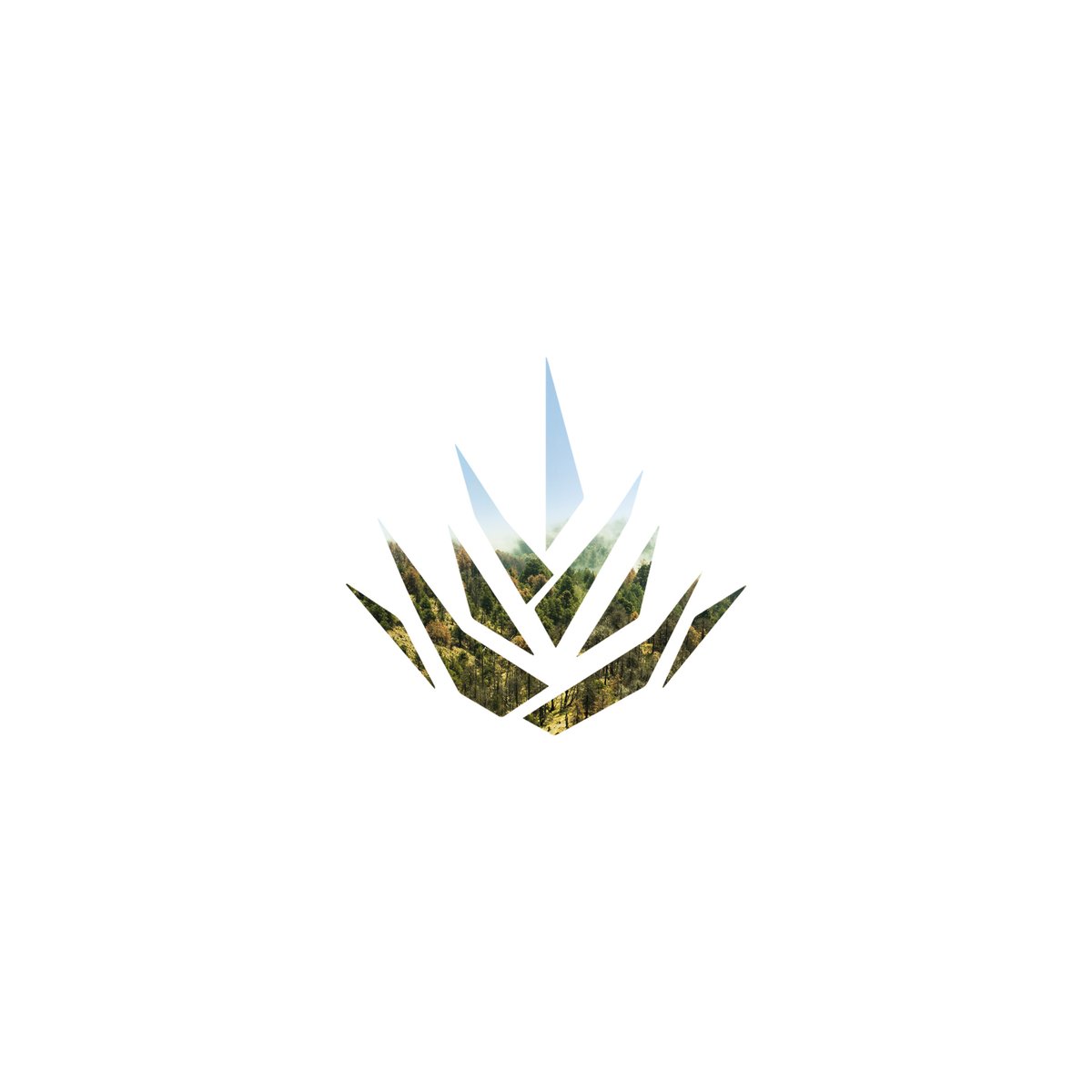 Agavusmx's tweet photo. ¿Por qué nuestro logo?
Agavus nació de la idea de crear una marca orgullosamente Mexicana, de nuestra cultura y sus raíces. El agave como un símbolo de nuestra tierra, nuestras raíces, de lo artesanal, nuestros paisajes de nuestro México.💟🇲🇽 #hechoenmexico https://t.co/n6V4juQmyJ