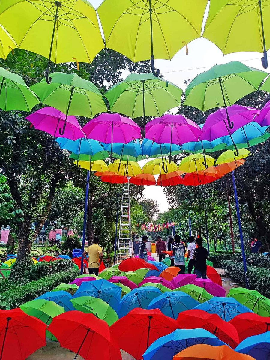 Daffodil International University tweet media