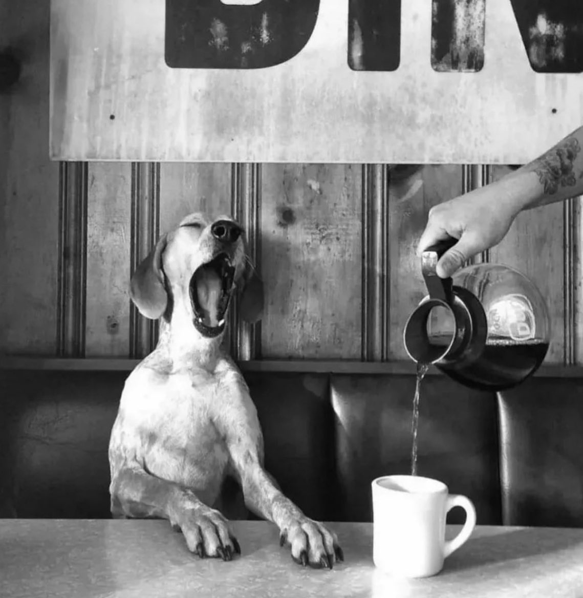 “Hay muertos que no olvido y vivos que para mí ya murieron”
Café?