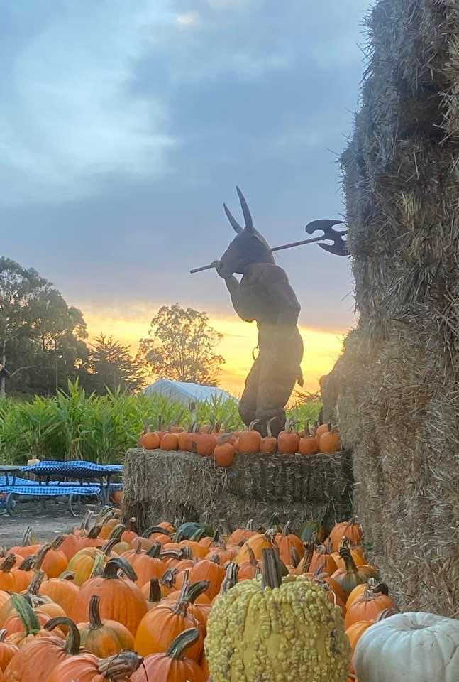 aratafarm's tweet photo. What an A-MAZE-ING season!
With it coming to a close we would like to thank all of our patrons for your continued support. 

We at ARATA'S give a big shout out to our staff for doing such an amazing job.

We wish you all a very Happy Halloween and a fruitful NEW YEAR to come! https://t.co/pEcXyrGCy1
