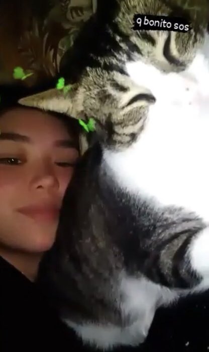 sunflowerclips's tweet image. 17 años no va a ver a taylor signo cancer