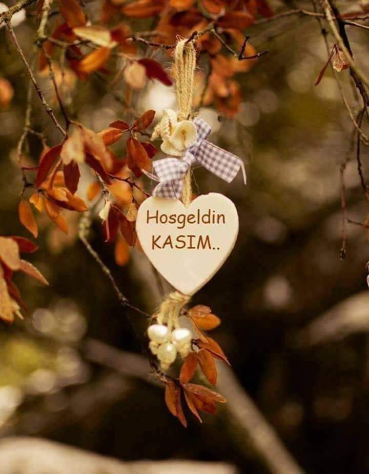 GÜNAYDIN YAŞAMAK 

HOŞ GELDİN KASIM 🍂🍂🍂
Muhteşem bereketli, 
yepyeni başlangıçlarla dolu, 
IŞIKLA PARLAYAN BİR KASIM AYI başlıyor..
Yeni ay umutların kapısı
Hayallerimizin gerçeğe döndüğü, ruhumuzun canlandığı, bolluğun gönüllere aktığı bir ay olsun 🙏
