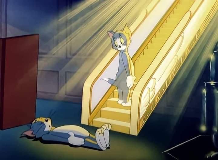 Saruul Erdene tweet media