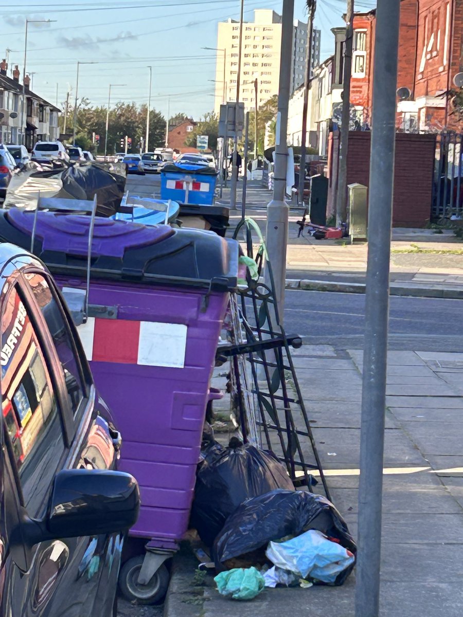 @lpoolcouncil Why don’t you clean the streets first, this is a daily sight from my home, disgusting and an absolute disgrace, rats, cats, gulls ripping the bags open, how can this be good for anyone! #improvingLiverpool