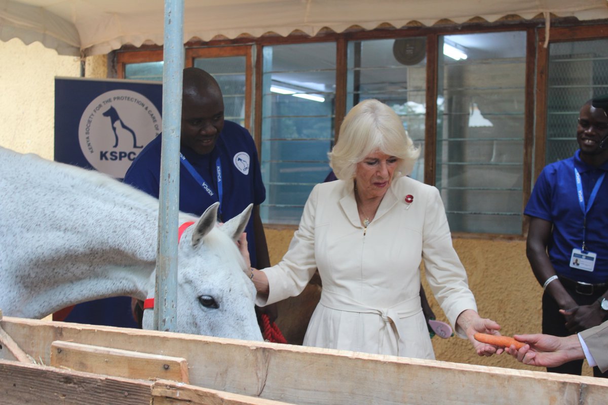 As President of @TheBrookeEA, Her Majesty visited one of Brooke's partners, @KSPCAKenya, which collaborates with them to rescue injured or mistreated donkeys. She heard from Kenyan women whose livelihoods have improved thanks to support from @BrookeEA. #RoyalVisitKenya