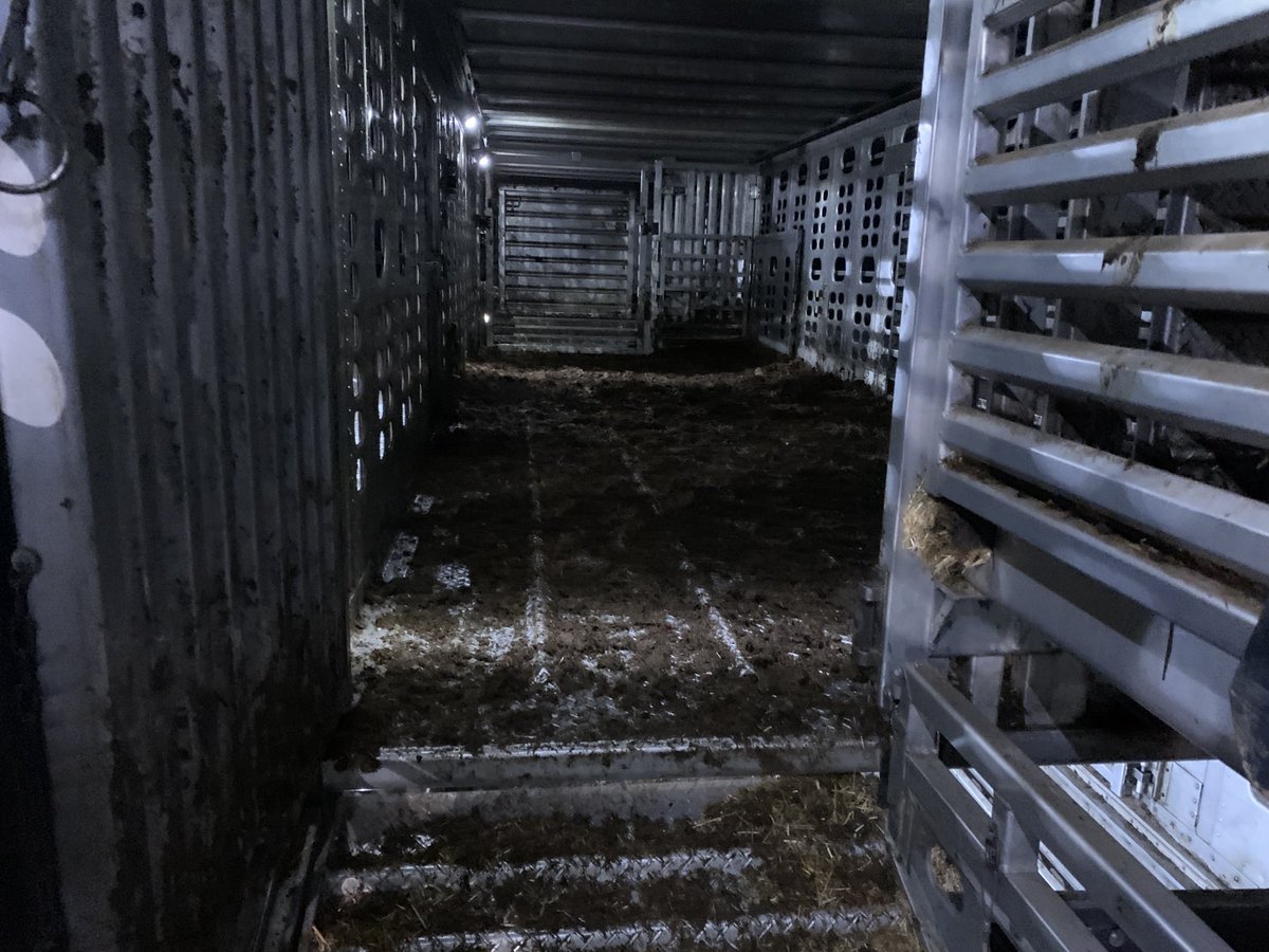 West truck showed up today 
Tried to tell me 39 bales of straw 
More like 9
No way to handle a $250K load of calves