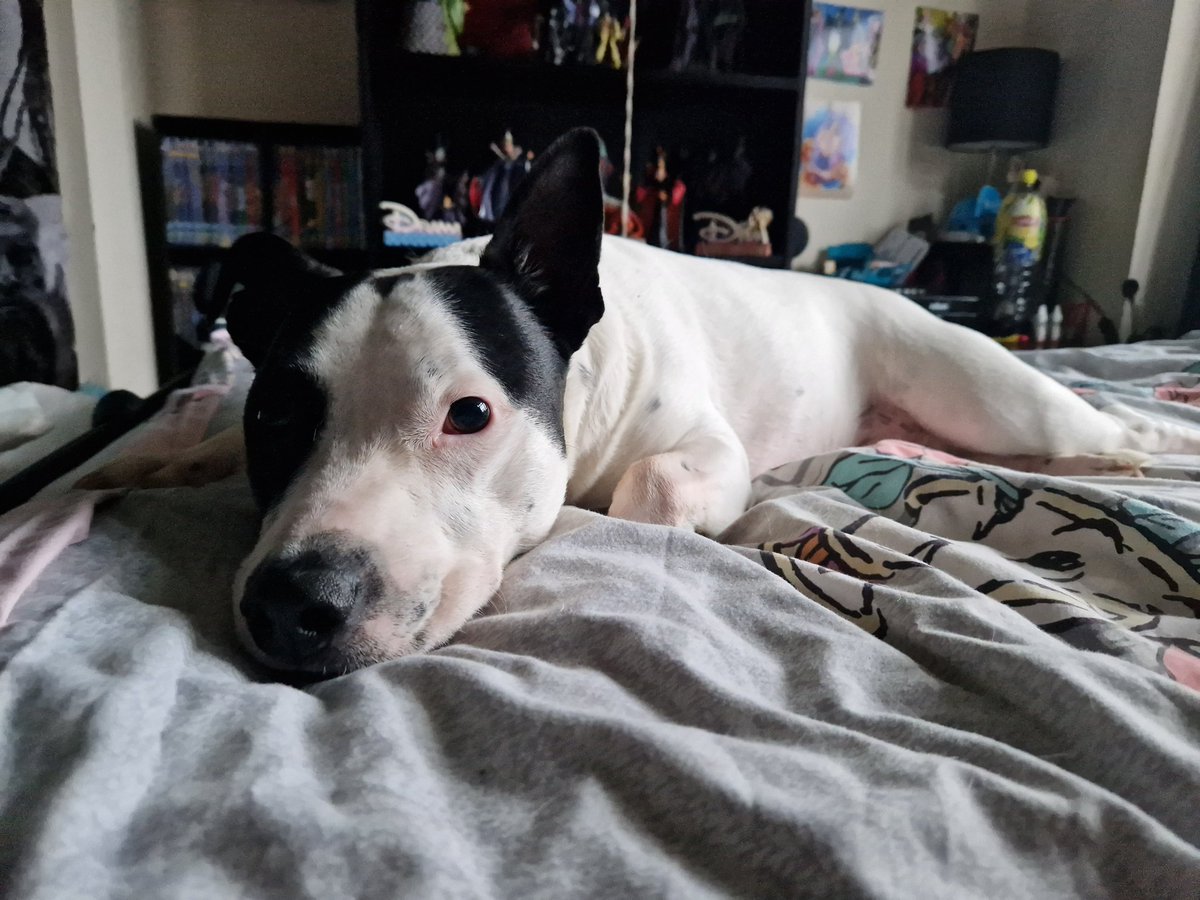 Lady_wench's tweet photo. Please donate or share my babies story! 
https://t.co/11VKYyploi https://t.co/DQ1qpuBpKx