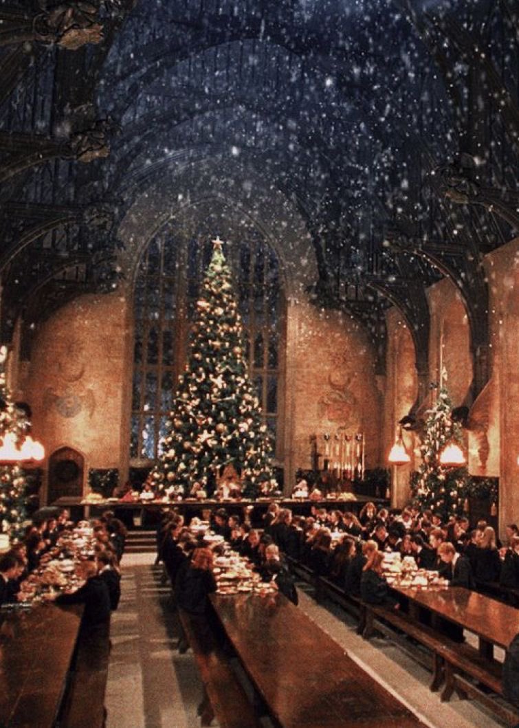 voidxfanboy's tweet photo. io alle 23:59 del                          io alle 00:00 del
31 ottobre🎃🍂✨                  1 novembre🎄🎅🏼✨ https://t.co/uz4mhhV4k0