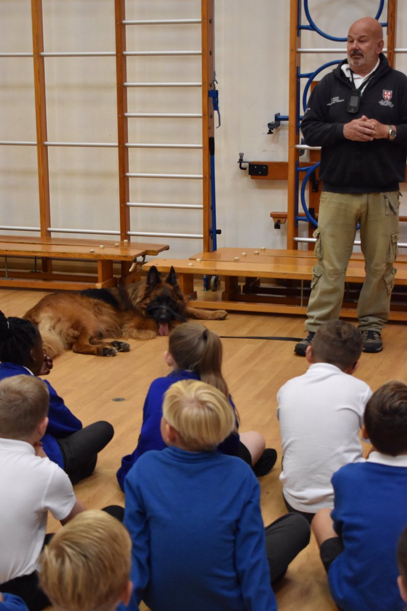 RayBates57's tweet photo. Morning, talking all things #Therapydogs #Readingdogs #Germanshepherds and the childrens role in Bowyer training/qualifying during a lockdown. https://t.co/5qOvd95KCF