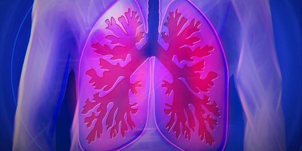This study found the retrospective estimate of lifetime cumulative exposure to asbestos showed a moderate correlation with the total asbestos fibre count in the lung.

doi.org/10.1093/occmed…